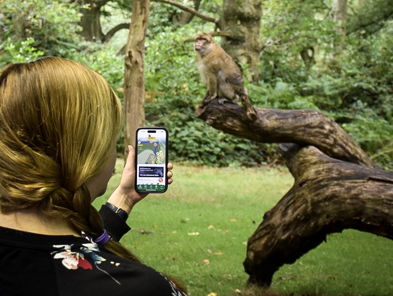 UK animal park Trentham Monkey Forest reveals new visitor app